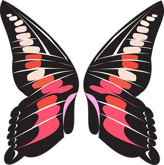Abstract Butterfly Illustration PNG