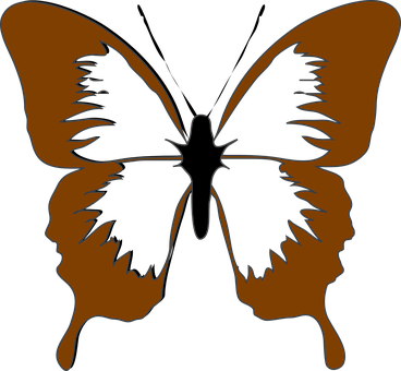 Abstract_ Butterfly_ Silhouette PNG