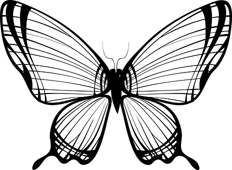 Abstract Butterfly Silhouette PNG