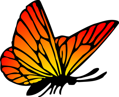 Abstract Butterfly Silhouette PNG