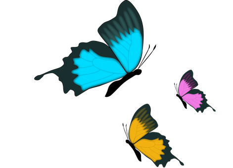 Abstract Butterfly Trioon Black Background PNG