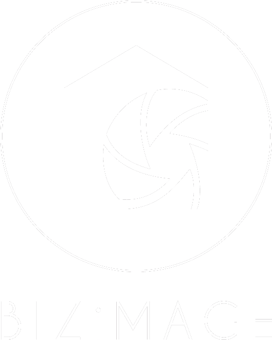 Abstract Camera Shutter Logo Bizi M A G E PNG