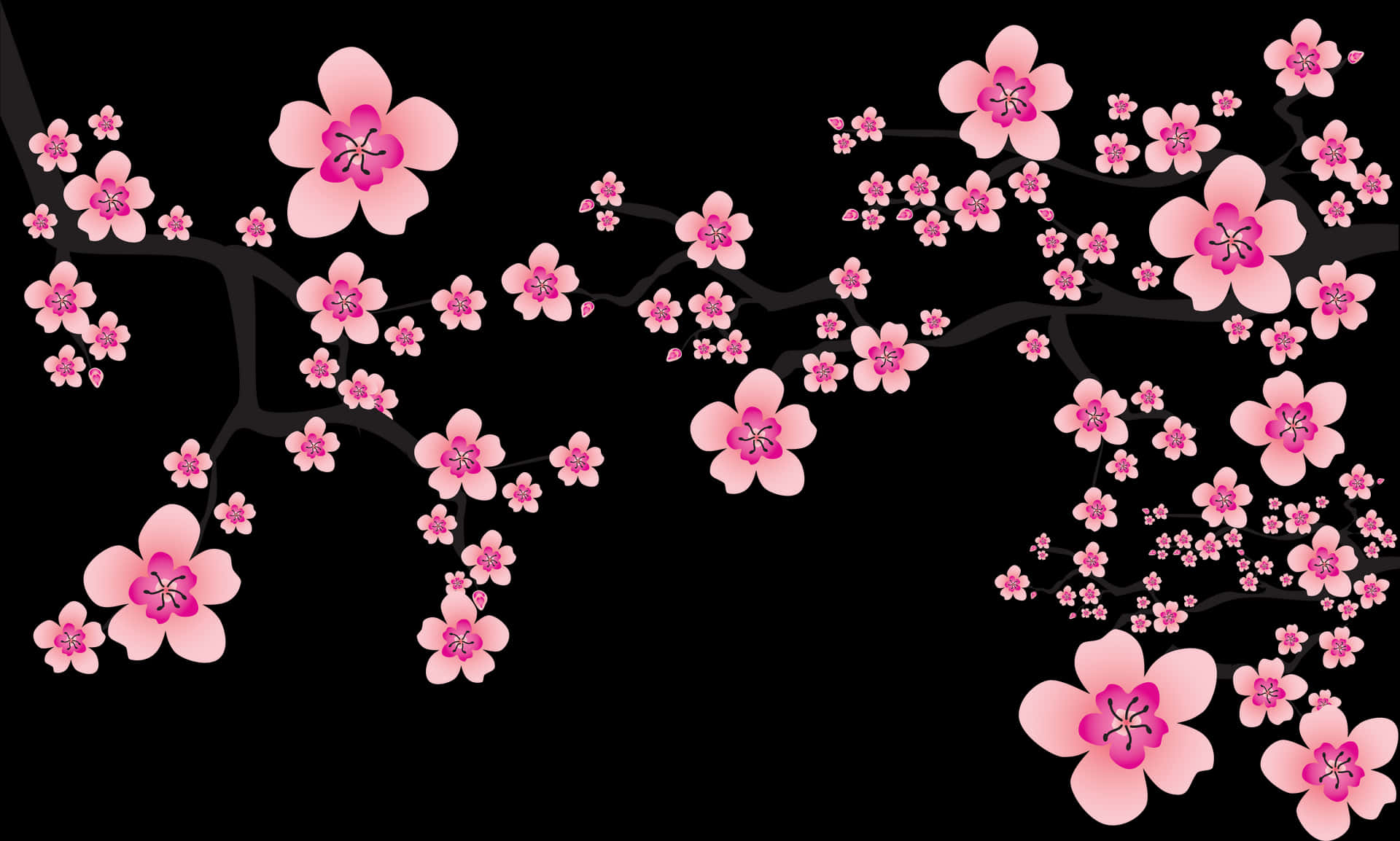 Abstract Cherry Blossomson Black Background PNG