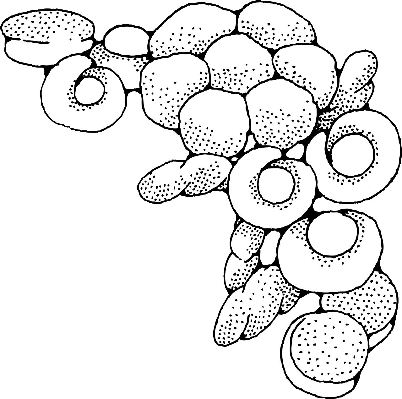 Abstract Circular Forms Border Design PNG — Solid black background with no visible elements or details.