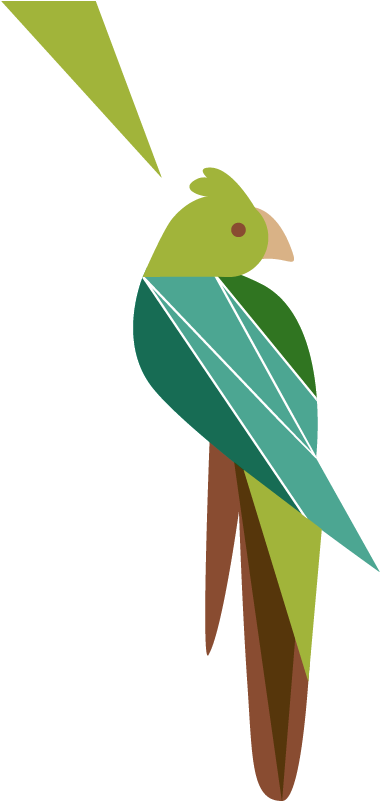 Abstract Cockatoo Artwork PNG