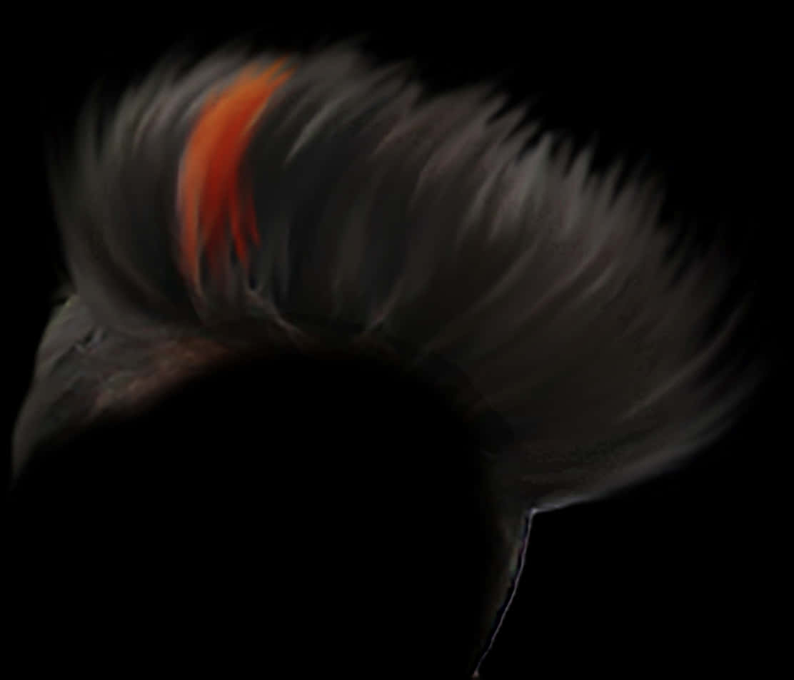 Abstract Cockatoo Feather Hairstyle PNG