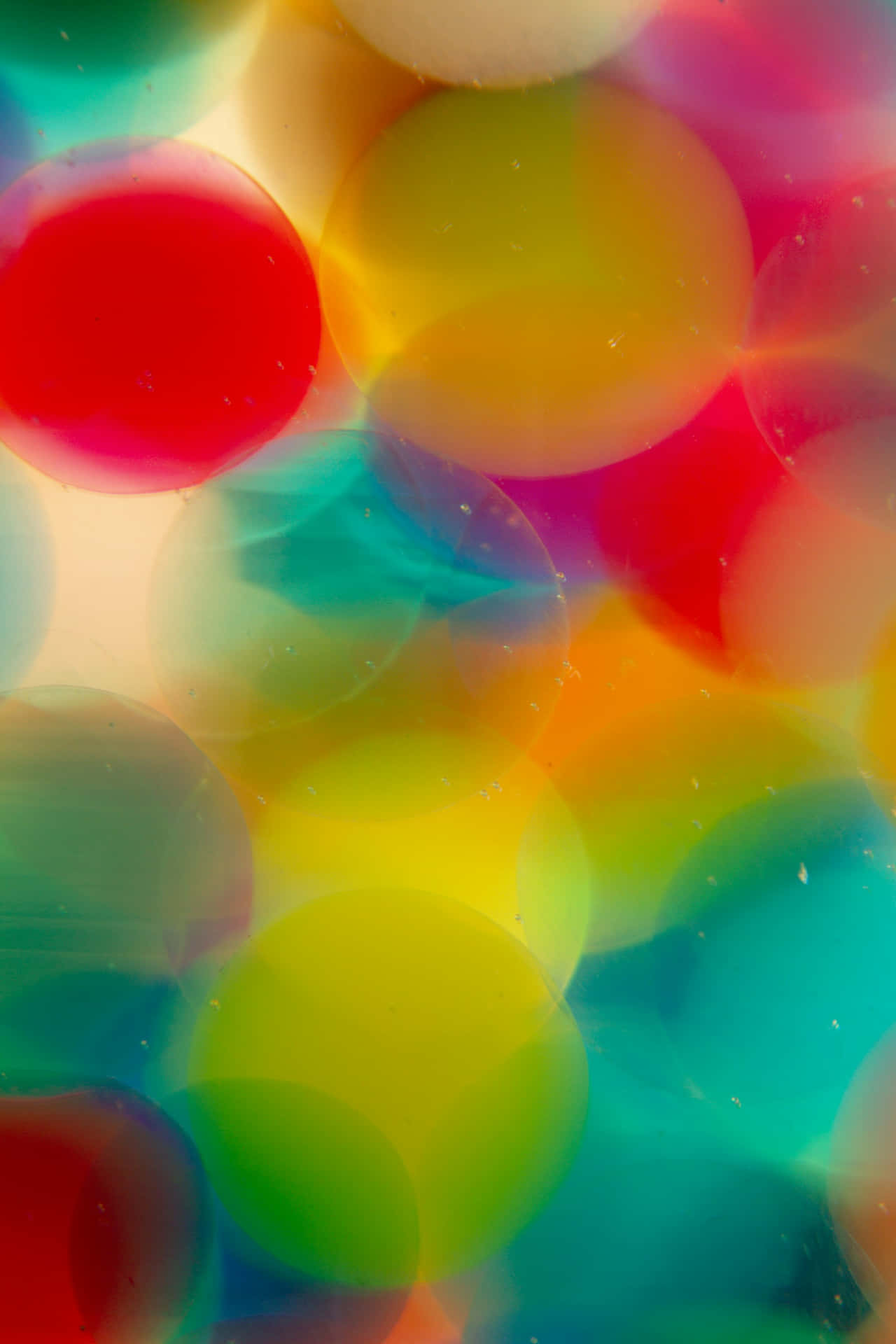 Abstract Colorful Bubbles Backdrop Wallpaper
