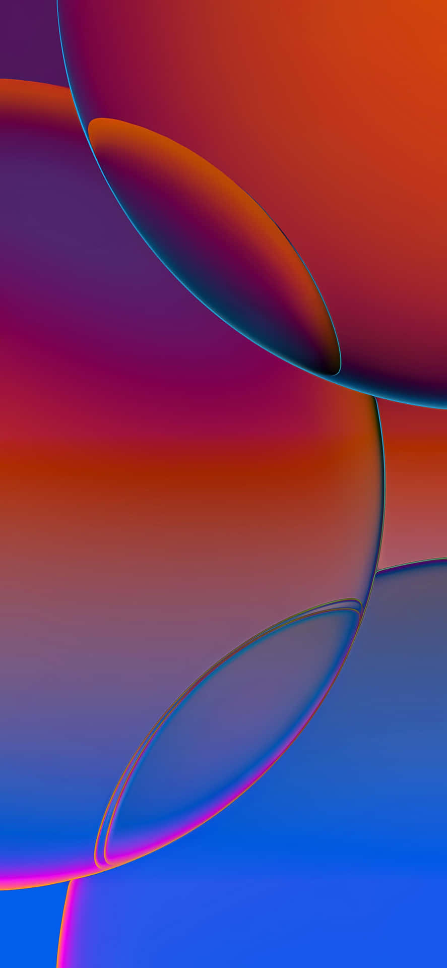 Abstract Colorful Curves Wallpaper Wallpaper