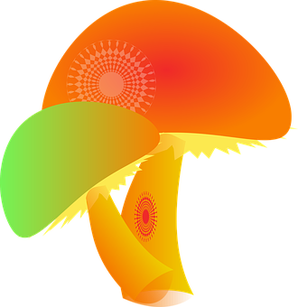 Abstract Colorful Mushroom Illustration PNG