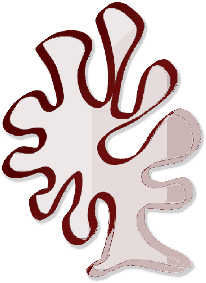 Abstract Coral Graphic PNG