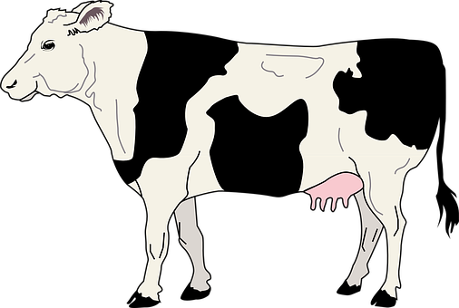 Abstract Cow Illustration PNG
