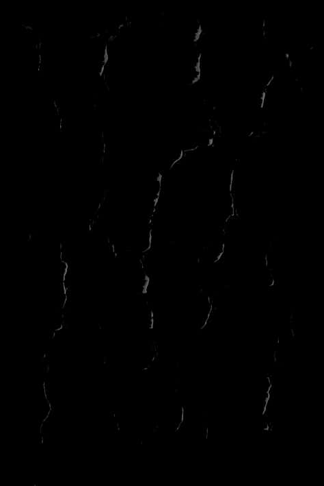 Abstract Crack Pattern Black Background PNG