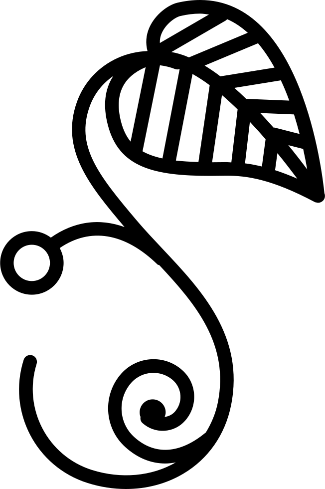 Abstract Curve Design PNG