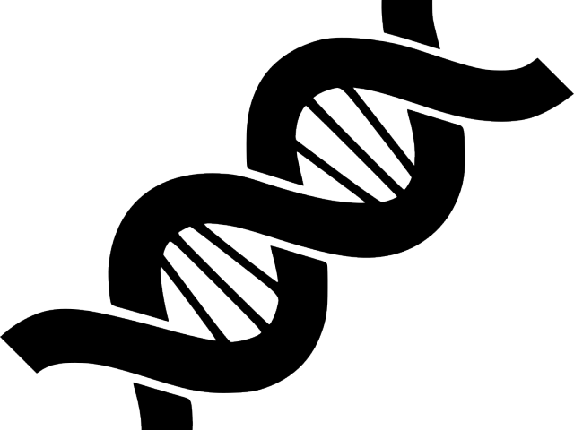 Abstract D N A Double Helix PNG