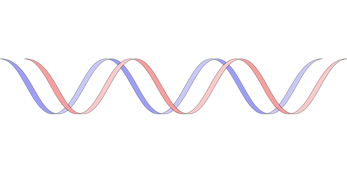 Abstract D N A Double Helix Illustration PNG