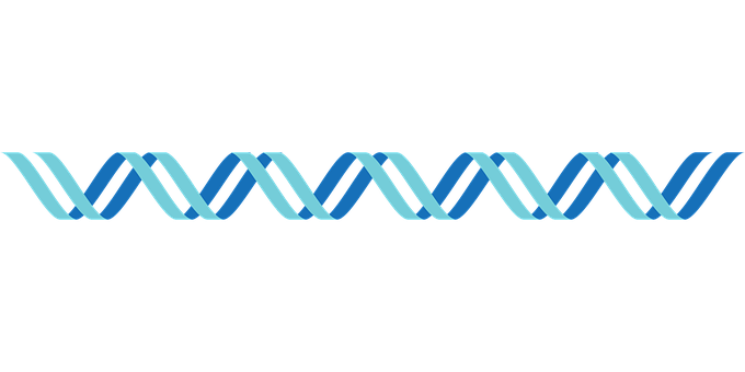 Abstract D N A Double Helix Illustration PNG