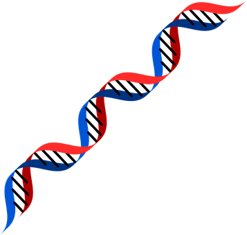 Abstract D N A Double Helix Illustration PNG