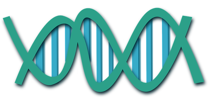 Abstract D N A Double Helix Illustration PNG