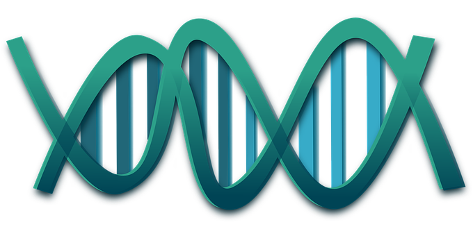 Abstract D N A Double Helix Illustration PNG