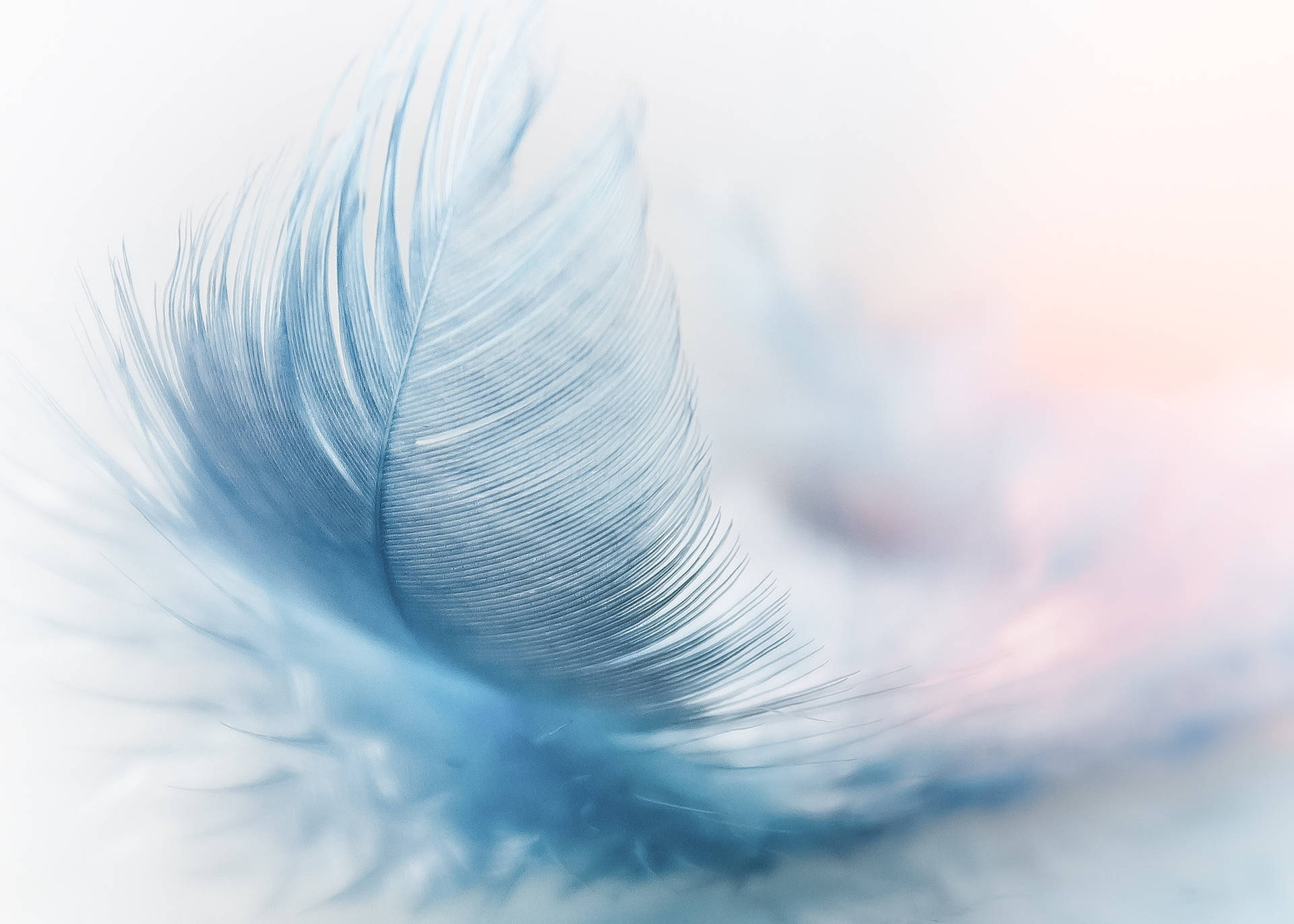 Abstract Feather Blue Color Hd Wallpaper