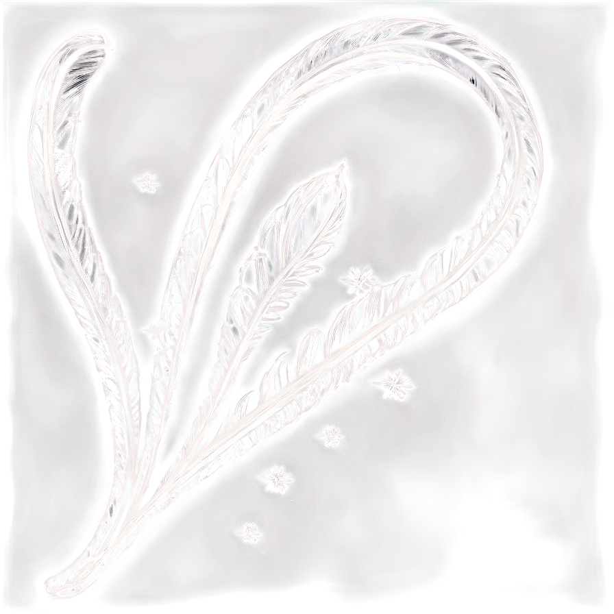 Abstract Feather Line Art PNG