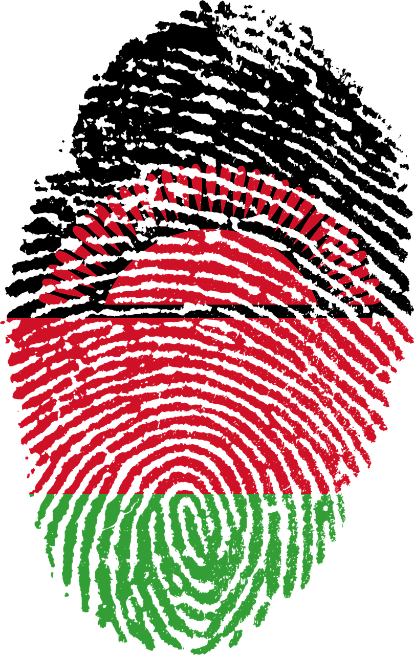 Abstract Fingerprint Artwork PNG