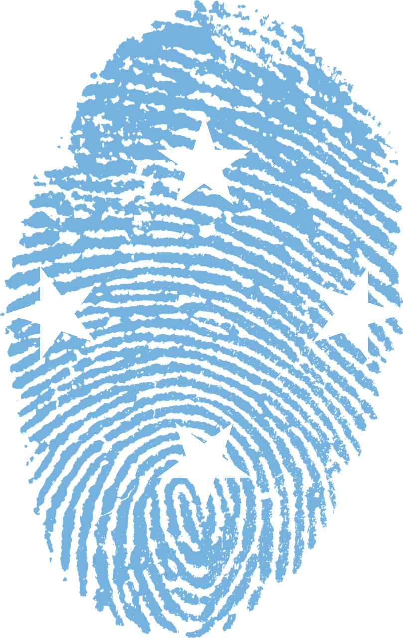 Abstract Fingerprint Artwork PNG