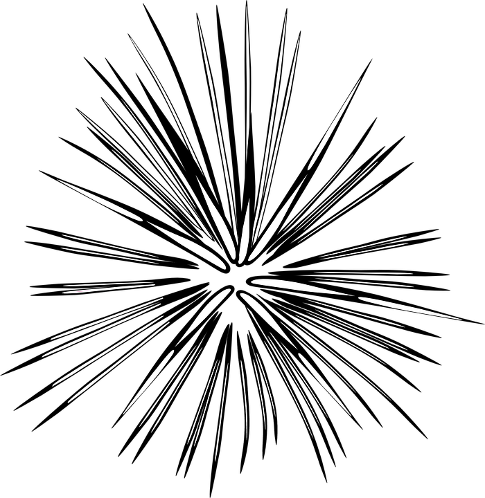 Abstract Firework Explosion Graphic PNG