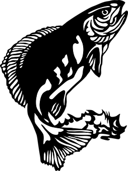 Abstract Fish Art Blackand White PNG