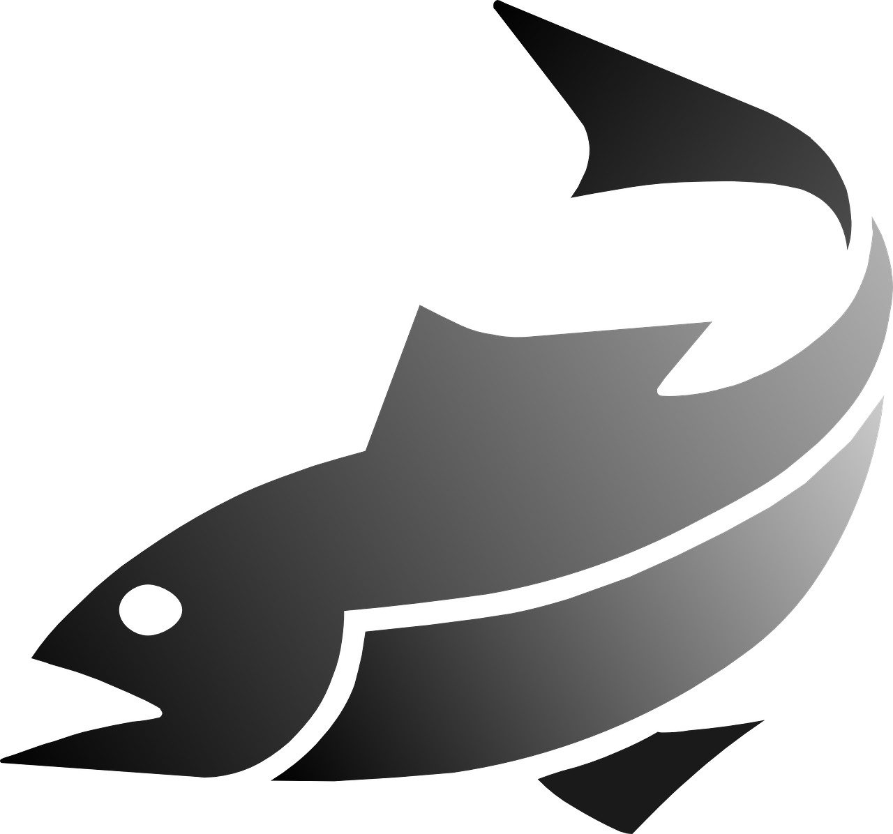 Abstract Fish Icon PNG