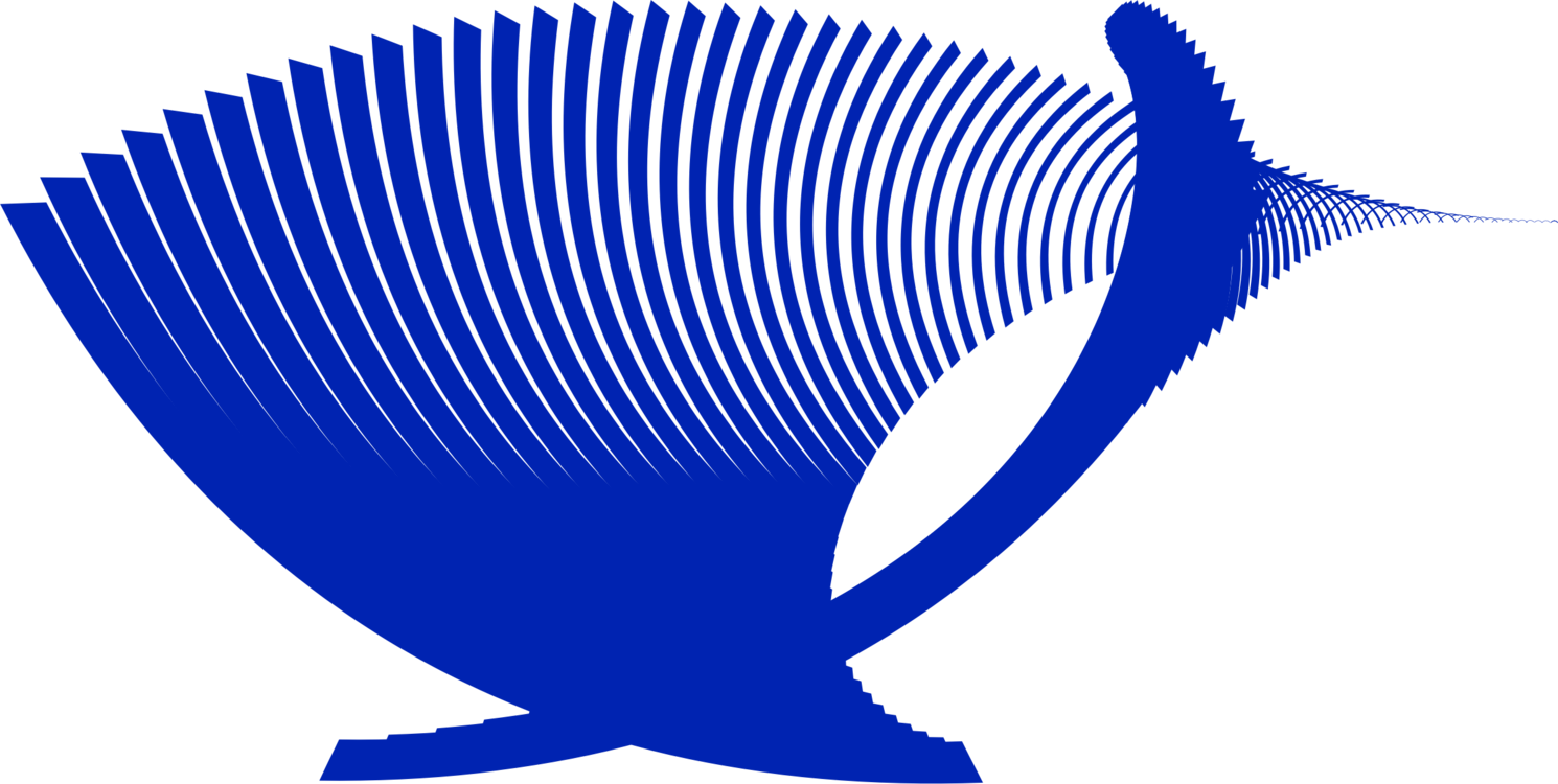 Abstract Fish Silhouette PNG