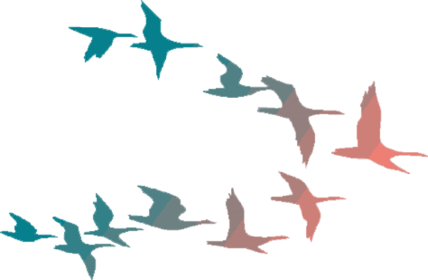 Abstract Flockof Birds Illustration PNG