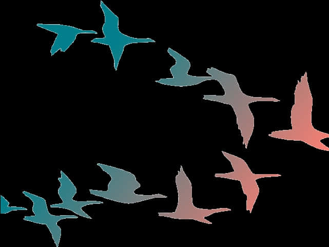 Abstract Flockof Birds Silhouettes PNG