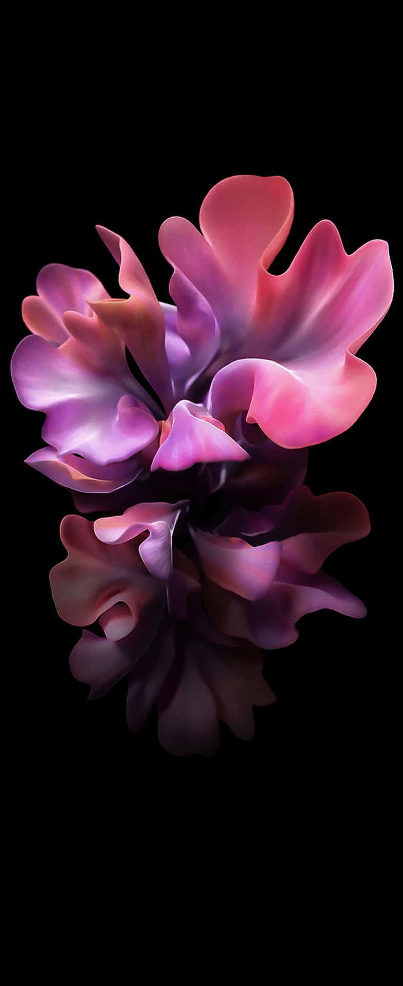 Abstract Floral Artworkon Black Background Wallpaper