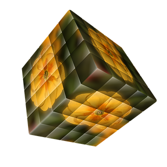 Abstract Floral Cube Illusion PNG