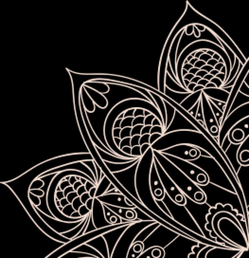 Abstract Floral Design Black Background PNG