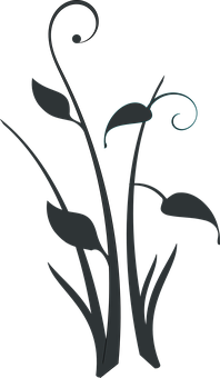 Abstract Floral Silhouette Art PNG