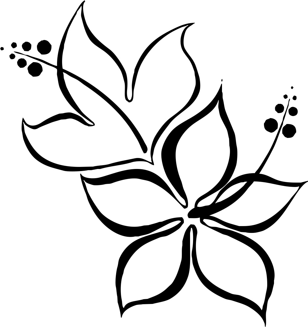Abstract Floral Sketch Art PNG