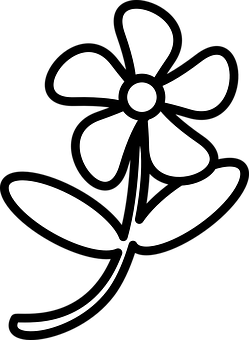Abstract Flower Silhouette Black Background PNG