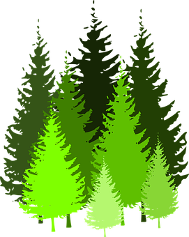 Abstract Forest Glowing Gradient PNG
