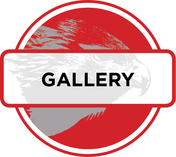 Abstract Gallery Sign Graphic PNG
