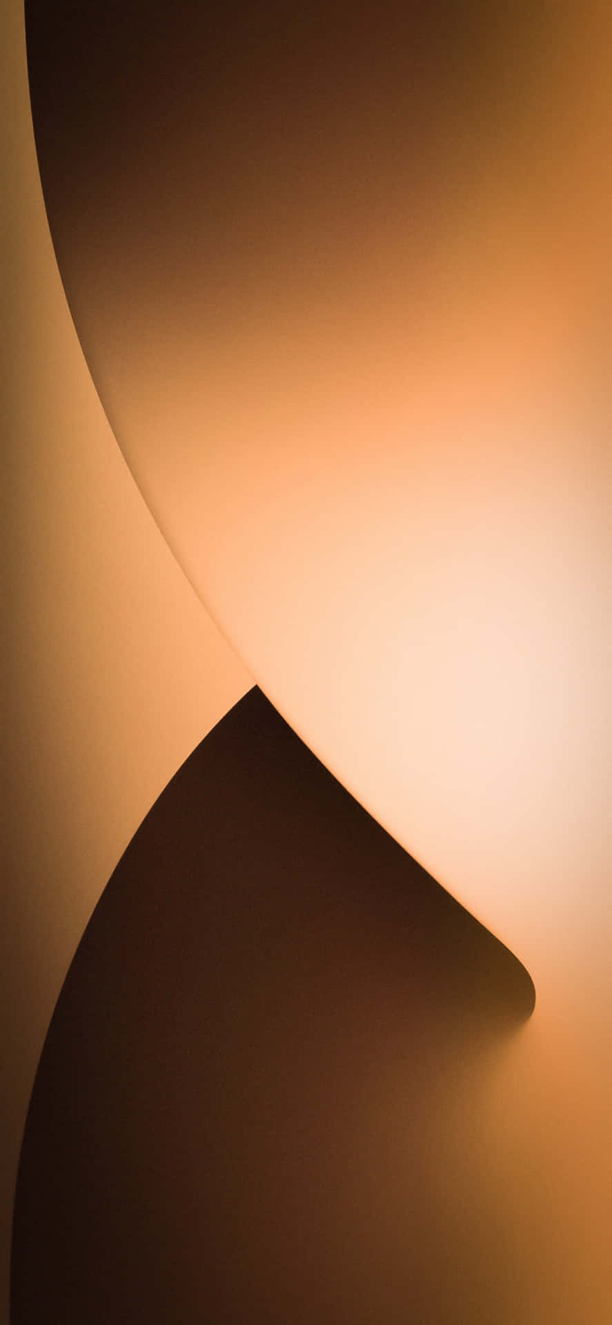 Abstract_ Gradient_ Curves Wallpaper