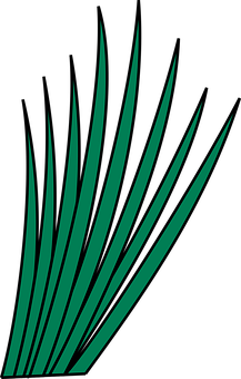 Abstract Grass Blades Graphic PNG