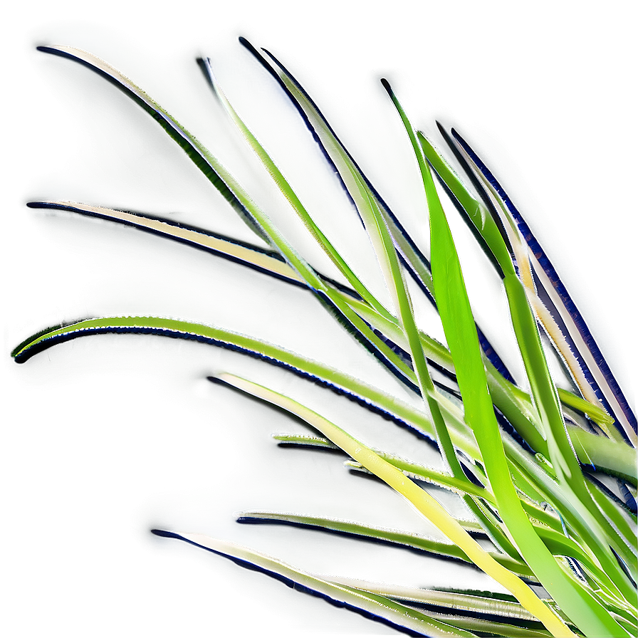 Abstract Grass Design Png 33 PNG
