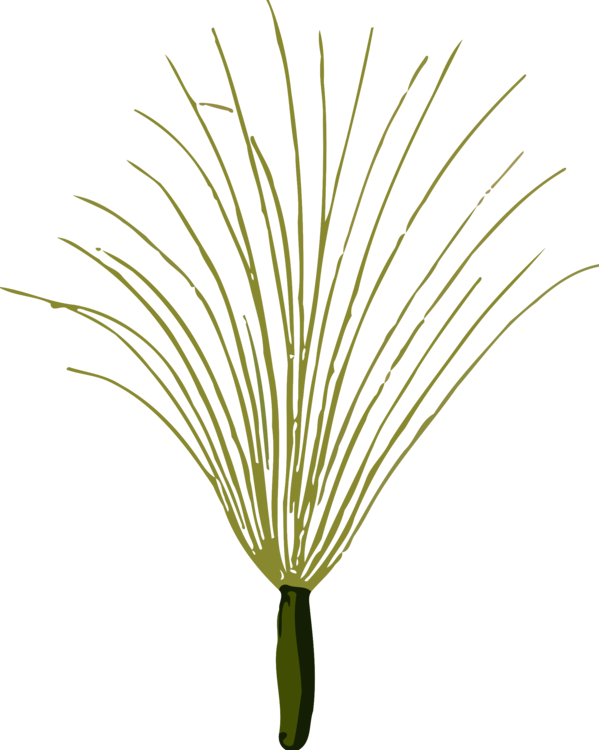 Abstract Grass Flower Illustration PNG