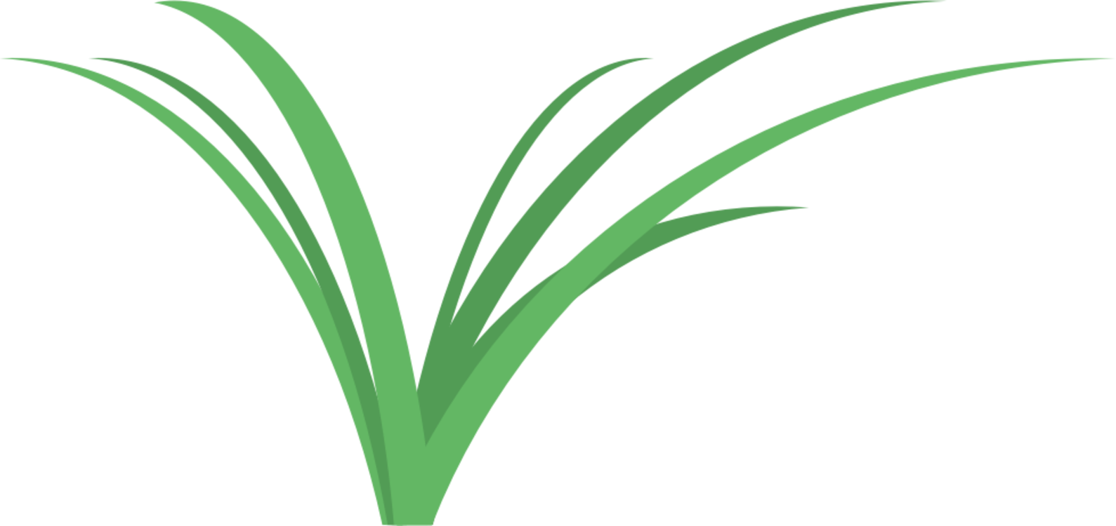 Abstract Grass Graphic PNG