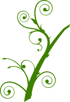 Abstract Green Floral Design PNG
