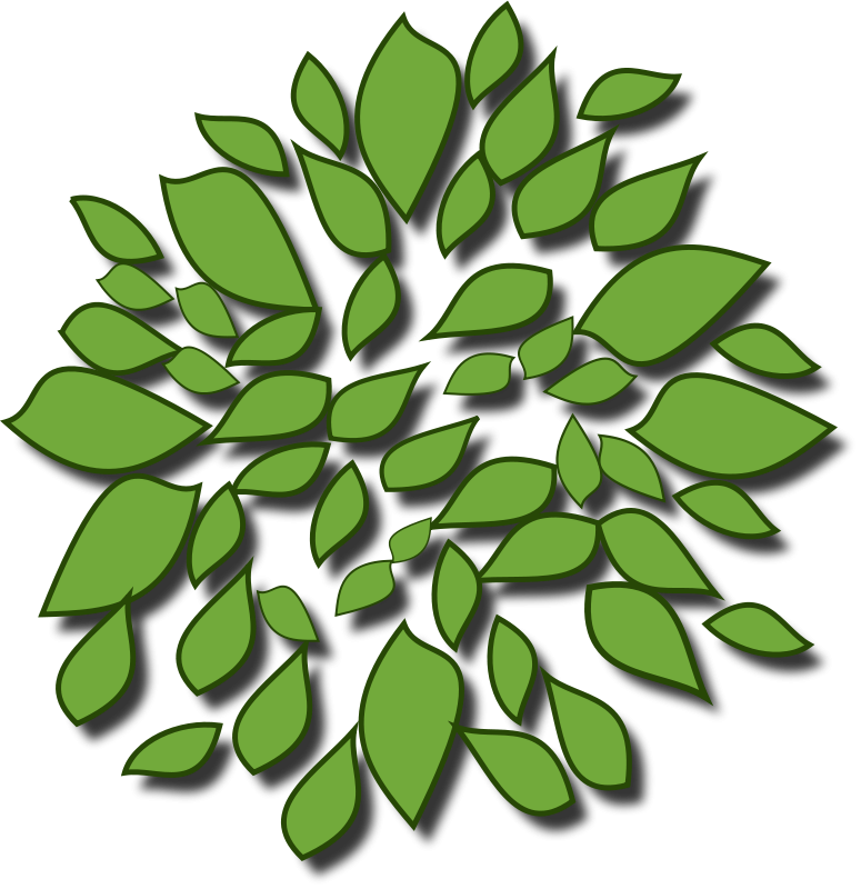 Abstract Green Leaf Design PNG