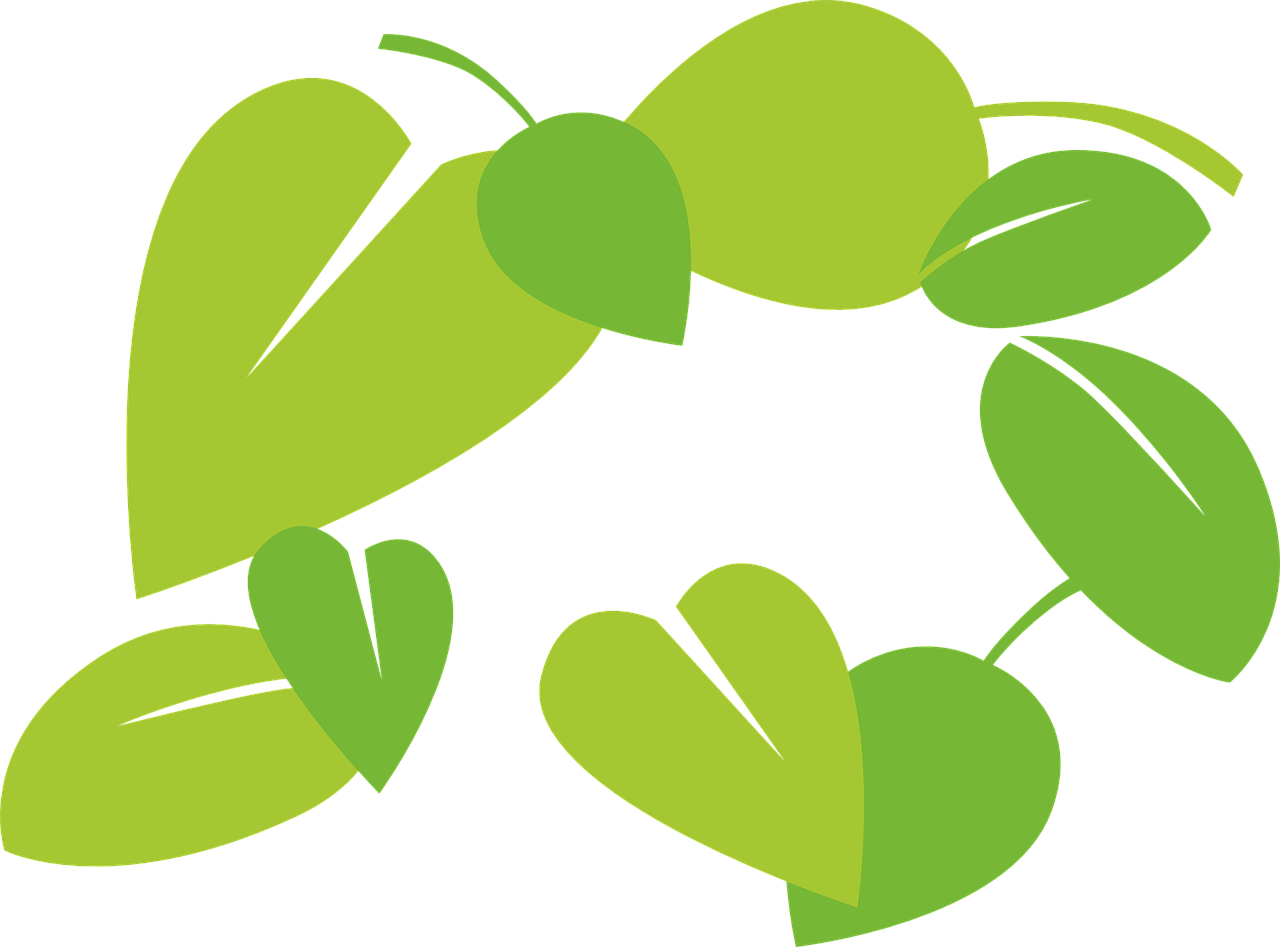 Abstract Green Leaves Graphic PNG