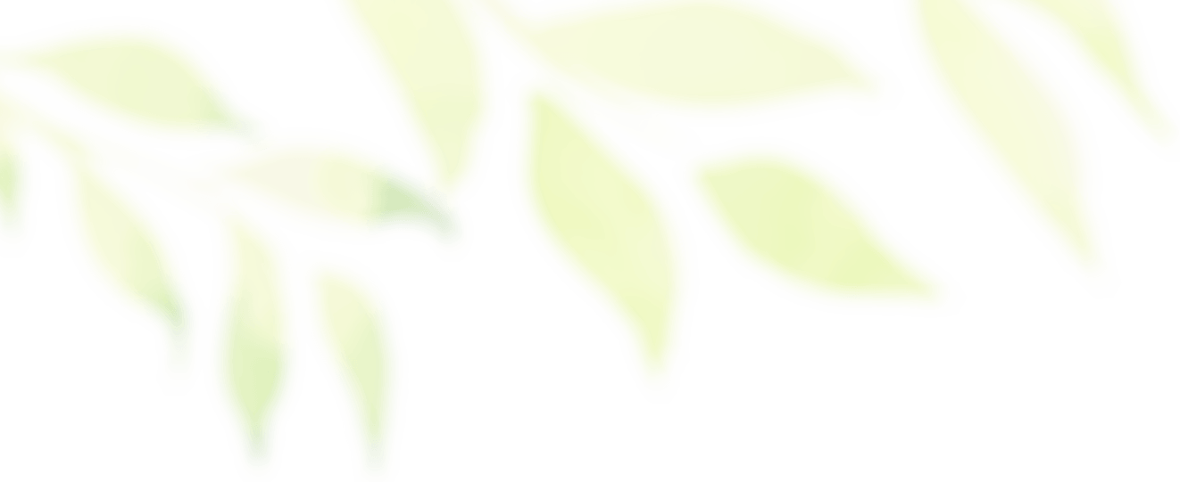 Abstract Green Leaves Illustration PNG